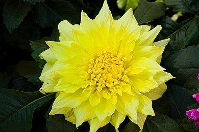 《舞力全开》国行版更新4首独占歌曲 6月10日上线